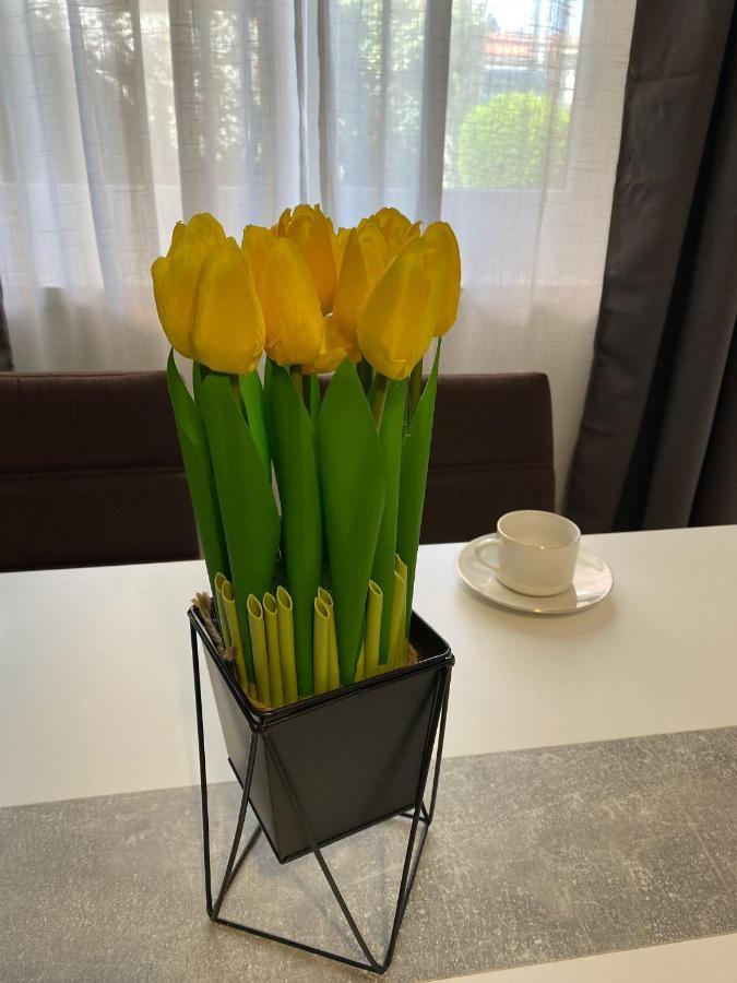 Apartment Dora Zára Kültér fotó
